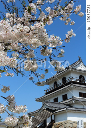 春の益岡公園 白石城三階櫓 春の益岡公園 白石城三階櫓 15087781