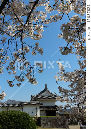 春の益岡公園 白石城大手門 春の益岡公園 白石城大手門 15087821