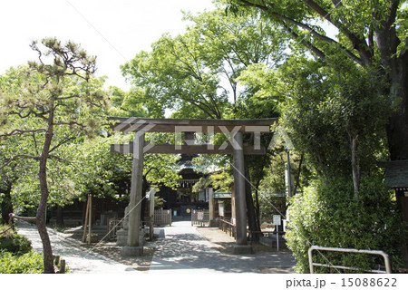 荏原神社 15088622