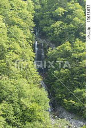 蛇王の滝 蛇王の滝 15088655