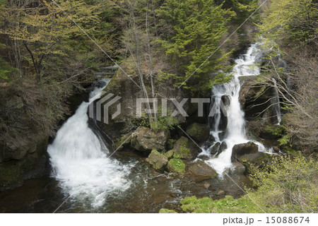竜頭ノ滝 竜頭ノ滝 15088674