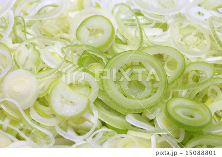 薬味　刻みネギ　クローズアップ 15088801