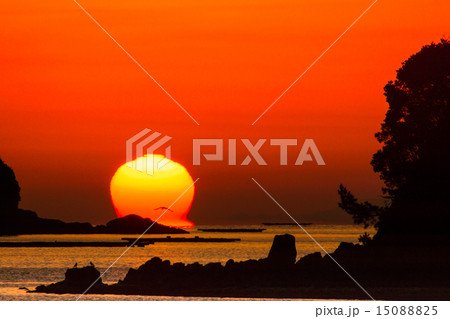 達磨朝日と海鳥 達磨朝日と海鳥 15088825
