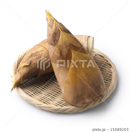 たけのこ 15089203