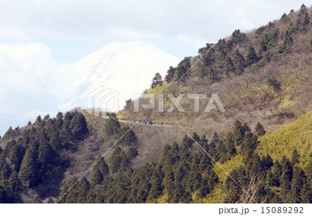 春近い芦ノ湖スカイラインと背景にそびえる霊峰富士 春近い芦ノ湖スカイラインと背景にそびえる霊峰富士 15089292