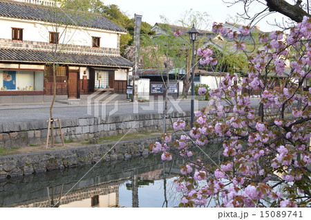 倉敷美観地区と桜の写真素材