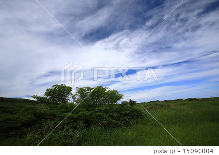 月山弥陀ヶ原 月山弥陀ヶ原 15090004