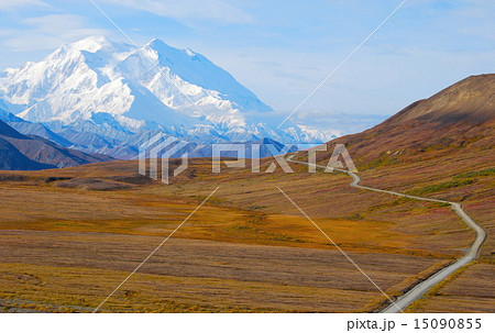 ストーニーヒル／マッキンリー山 15090855