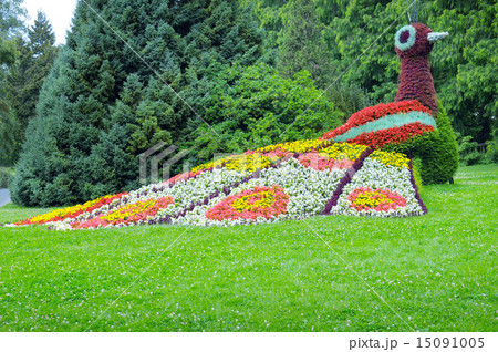 flower bed in the form of figures peacock flower bed in the form of figures peacock 15091005