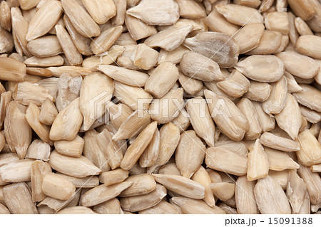 ひまわりの種 15091388