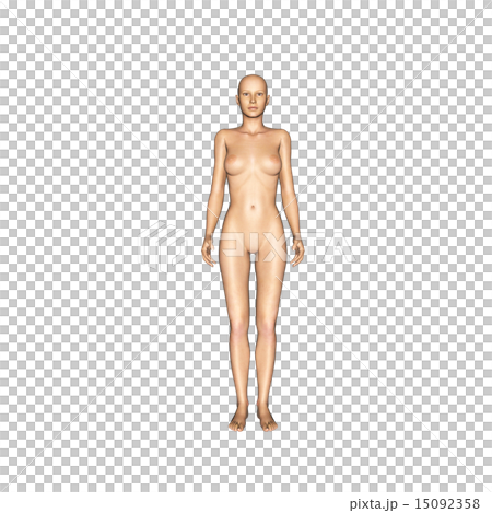 人体標本用　表皮　裸　立ちポーズ　perming 3DCGイラスト素材 15092358