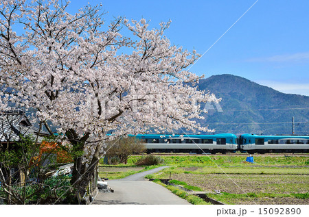 鉄道　列車　山陰本線　京都口　北近畿タンゴ鉄道　KTR　京都丹後鉄道　8000系　桜　さくら　満開　 15092890