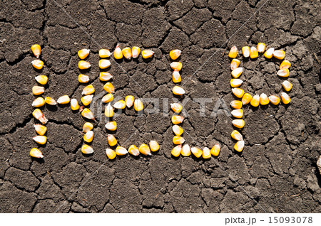 word HELP from grains of corn over cracked earth word HELP from grains of corn over cracked earth 15093078
