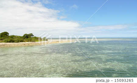 ニューカレドニア 15093265