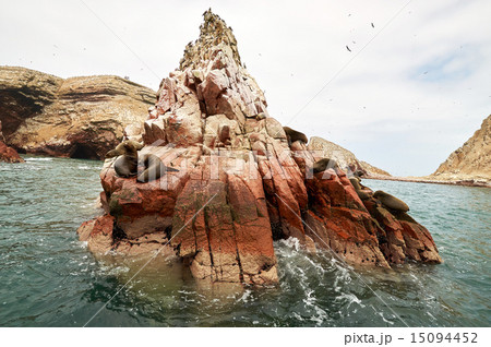 sea lion on rocky formation Islas Ballestas, paracas 15094452
