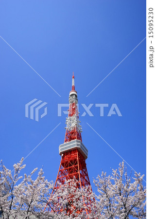 4月建物・ランドマーク371東京タワーと満開の桜 15095230