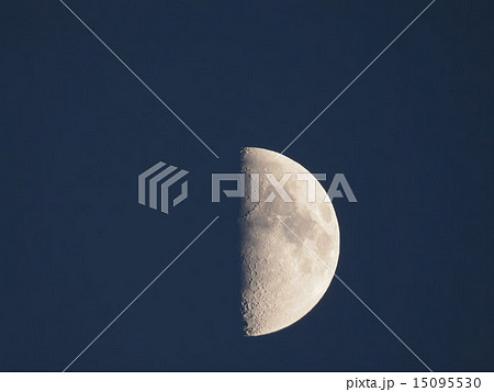 First quarter moon 15095530