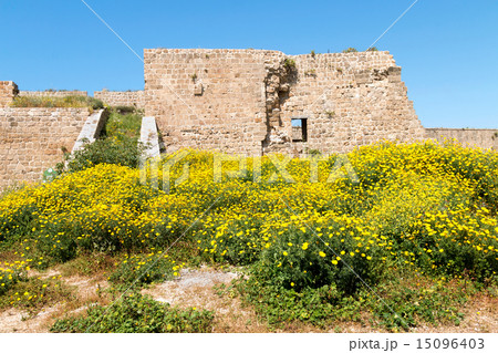 Acre Old City Walls in Spring 15096403