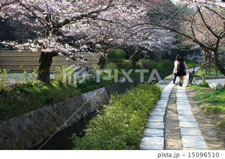 哲学の道 15096510