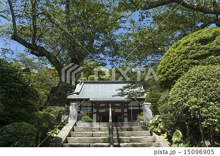 報国寺　本堂 15096905