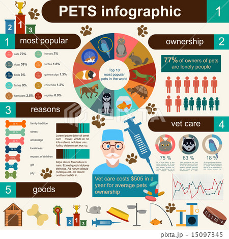 Domestic pets infographic elements, helthcare, vet Domestic pets infographic elements, helthcare, vet 15097345
