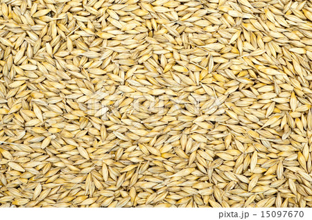 grain as good natural background grain as good natural background 15097670