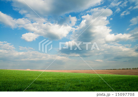spring landscape with low clouds spring landscape with low clouds 15097708