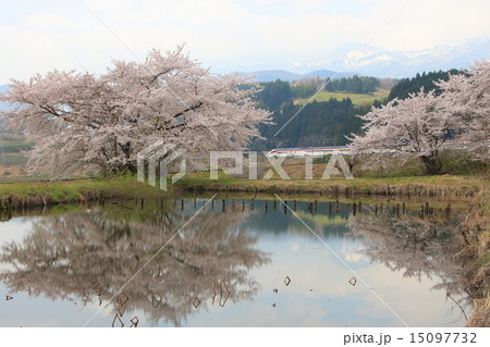 雪どけ・山形新幹線E3系と北国の春 15097732
