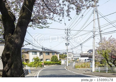 仙台・旧奥州街道沿いの堤町 15099178