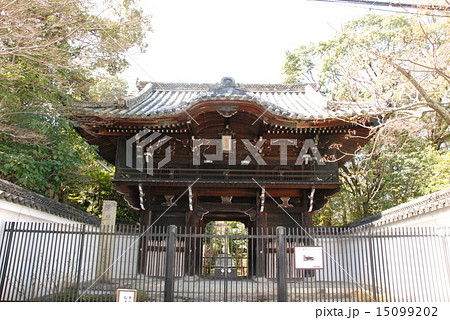 金地院の「東照宮」（京都市左京区南禅寺福地町） 15099202