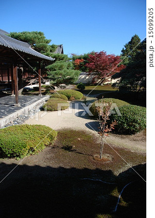 鹿王院･客殿前の庭園（京都市右京区嵯峨北堀町） 15099205
