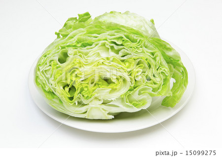 レタスの切り口 15099275