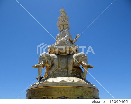 仏教美術 仏像 峨眉山金頂十方普賢菩薩仏像家内 仏堂 に菩薩銅像 安置