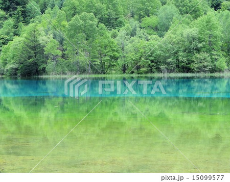 中国 九寨溝 五花海 15099577