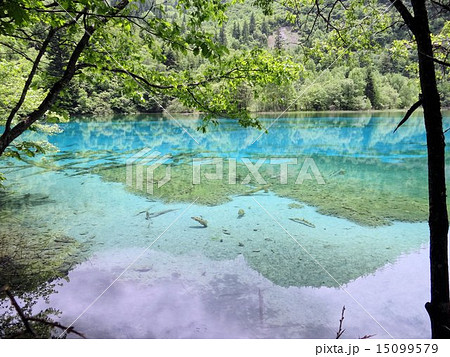 中国 九寨溝 五花海 15099579