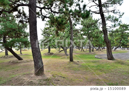 大津湖岸なぎさ公園 15100089