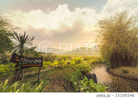Bamboo bridge near reservoir with mountain view 15100546