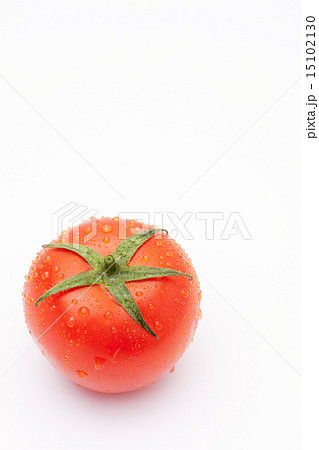 トマト 15102130