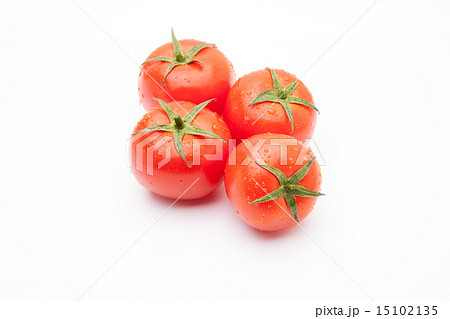 トマト 15102135