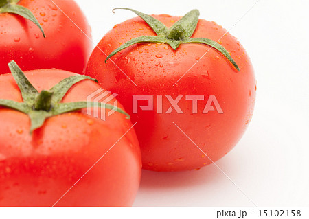 トマト 15102158