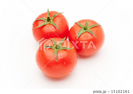 トマト 15102161