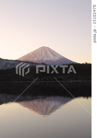 朝日そそぐ朝焼けの「世界文化遺産」富士山と西湖の湖面に映る神秘的な逆さ富士/山梨県 15102470