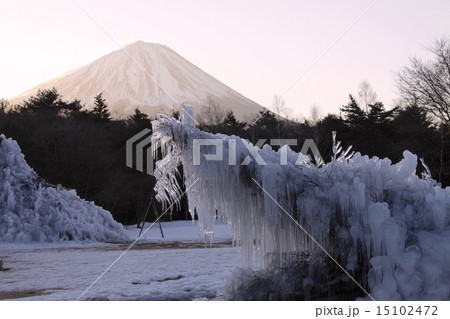 朝日に輝く剣の様な神秘的な樹氷と「世界文化遺産」富士山(西湖野鳥の森公園)/山梨県 朝日に輝く剣の様な神秘的な樹氷と「世界文化遺産」富士山(西湖野鳥の森公園)/山梨県 15102472