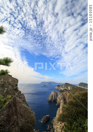 高知県幡多郡大月町　柏島 15103085