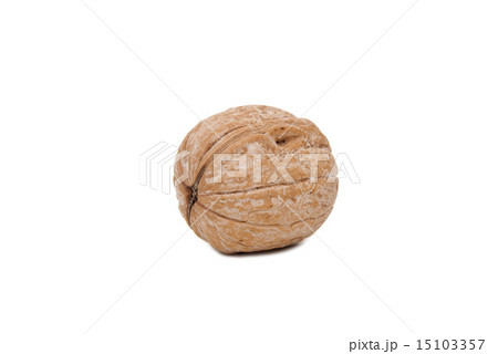 Walnut Walnut 15103357