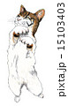 猫1 15103403