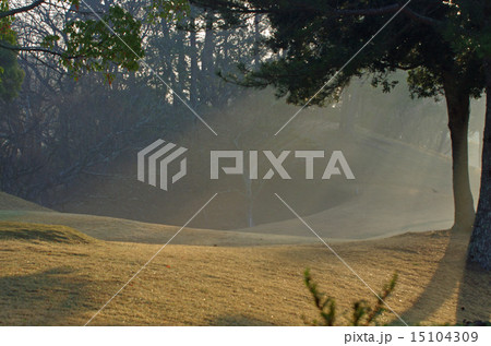 朝もや 15104309