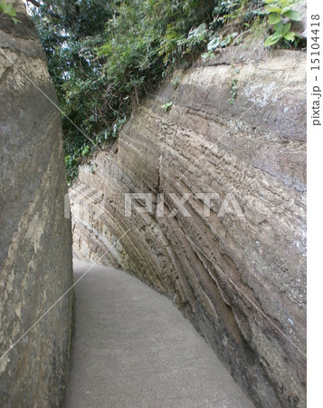 壁にはさまれた道 15104418