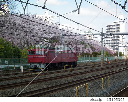 貨物列車　EＦ81　単機　川口駅 15105305
