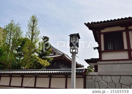 川崎大師　表参道 15105559